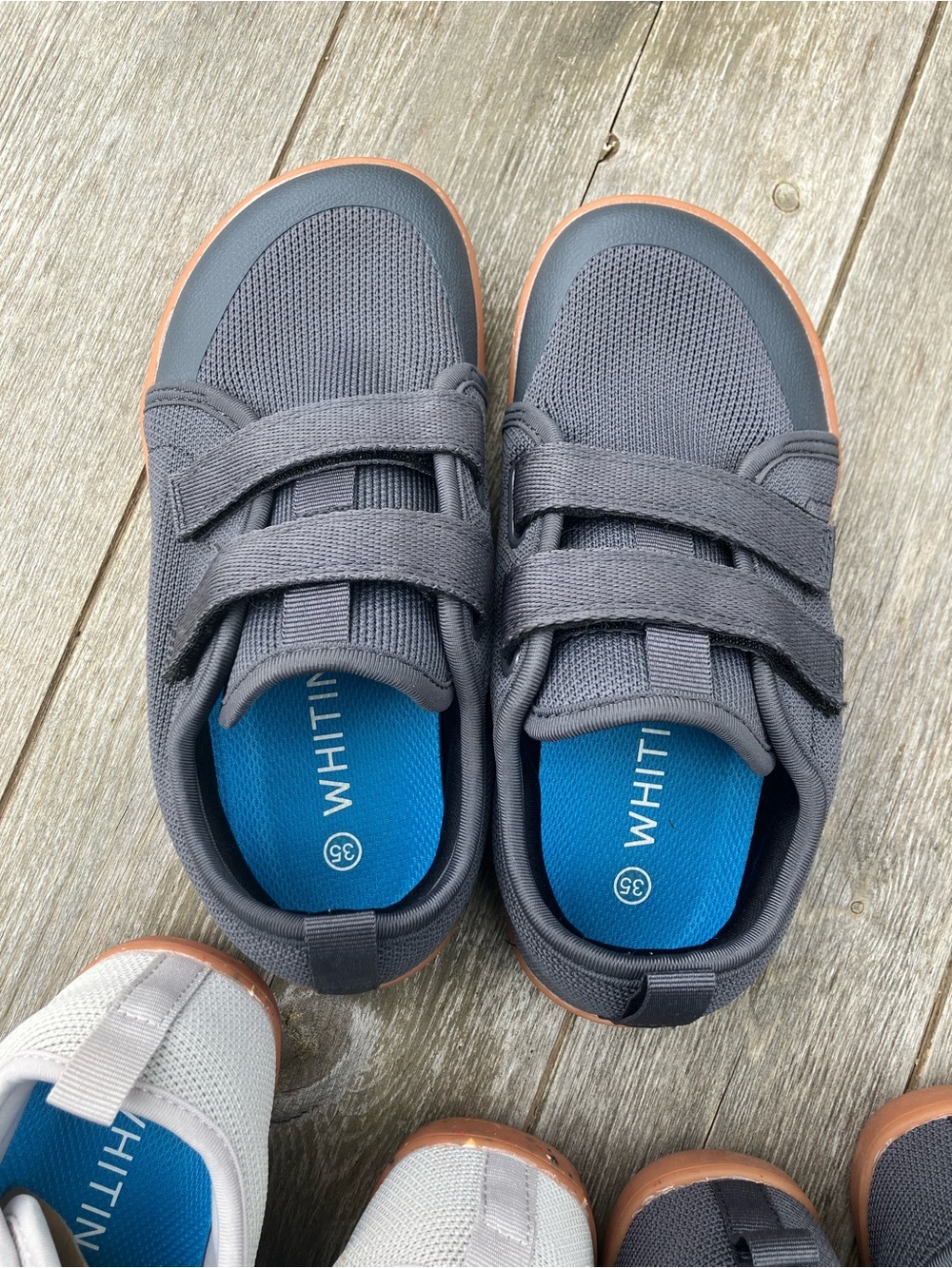 WHITIN Gray and Blue Kids Velcro Sneakers with Gum Outsole